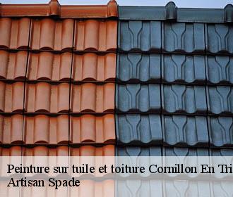 Peinture sur tuile et toiture cornillon-en-trieves-38710 Artisan Spade