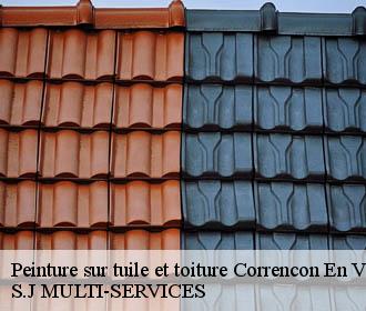 Peinture sur tuile et toiture correncon-en-vercors-38250 S.J MULTI-SERVICES