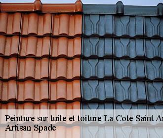 Peinture sur tuile et toiture  la-cote-saint-andre-38260 Artisan Spade