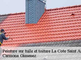 Peinture sur tuile et toiture la-cote-saint-andre-38260 Carmona Gimenez