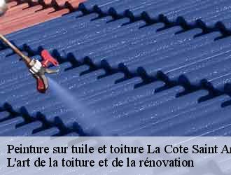 Peinture sur tuile et toiture  la-cote-saint-andre-38260 L'art de la toiture et de la rénovation