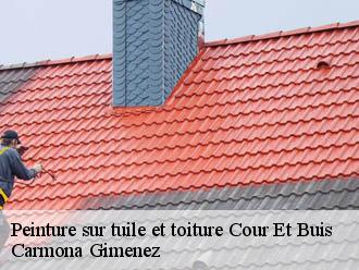 Peinture sur tuile et toiture cour-et-buis-38122 Carmona Gimenez