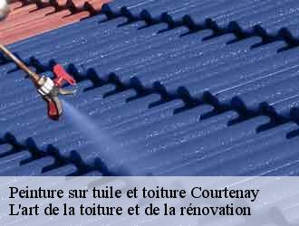 Peinture sur tuile et toiture  courtenay-38510 L'art de la toiture et de la rénovation