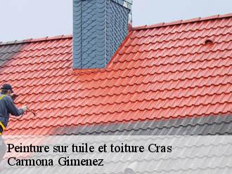 Peinture sur tuile et toiture cras-38210 Carmona Gimenez