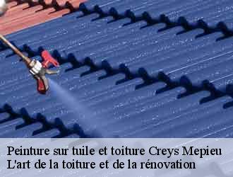 Peinture sur tuile et toiture  creys-mepieu-38510 L'art de la toiture et de la rénovation