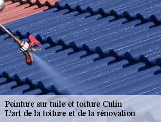 Peinture sur tuile et toiture  culin-38300 L'art de la toiture et de la rénovation