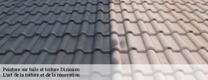 Peinture sur tuile et toiture  38460
