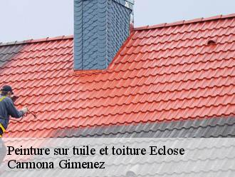 Peinture sur tuile et toiture eclose-38300 Carmona Gimenez