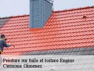 Peinture sur tuile et toiture engins-38360 Carmona Gimenez