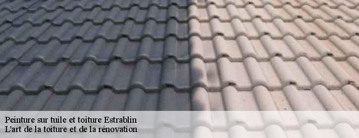 Peinture sur tuile et toiture  38780