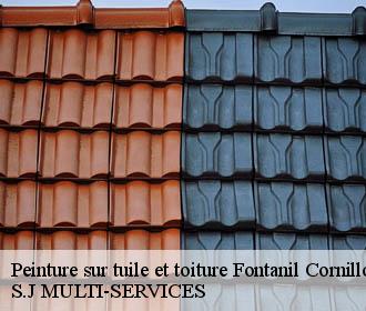Peinture sur tuile et toiture fontanil-cornillon-38120 S.J MULTI-SERVICES