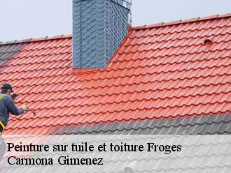 Peinture sur tuile et toiture  froges-38190 Couvreur Payen