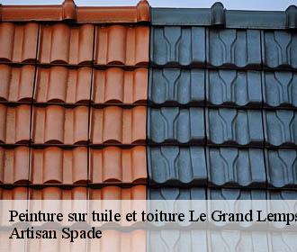 Peinture sur tuile et toiture le-grand-lemps-38690 Artisan Spade