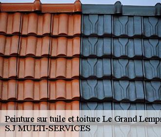 Peinture sur tuile et toiture le-grand-lemps-38690 S.J MULTI-SERVICES