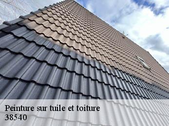 Peinture sur tuile et toiture  38540