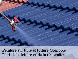 Peinture sur tuile et toiture  grenoble-38000 L'art de la toiture et de la rénovation