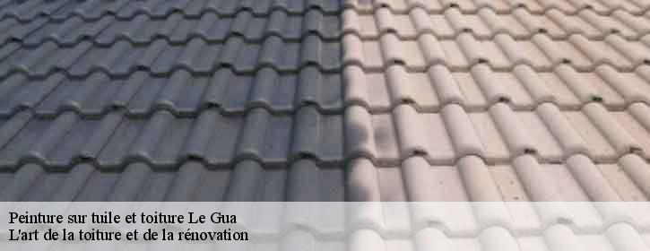 Peinture sur tuile et toiture 38450