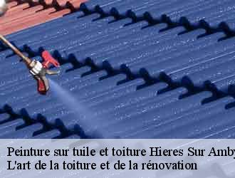 Peinture sur tuile et toiture  hieres-sur-amby-38118 L'art de la toiture et de la rénovation