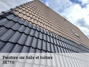 Peinture sur tuile et toiture 38750