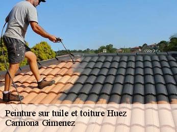 Peinture sur tuile et toiture 38750