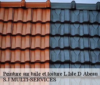 Peinture sur tuile et toiture l-isle-d-abeau-38080 S.J MULTI-SERVICES