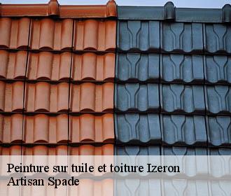 Peinture sur tuile et toiture izeron-38160 Artisan Spade