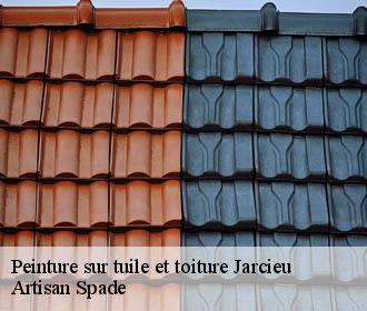 Peinture sur tuile et toiture  jarcieu-38270 Artisan Spade