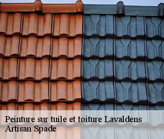 Peinture sur tuile et toiture lavaldens-38350 Artisan Spade