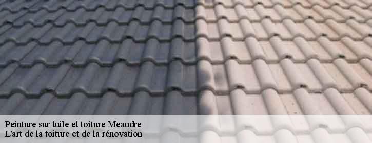 Peinture sur tuile et toiture  38112