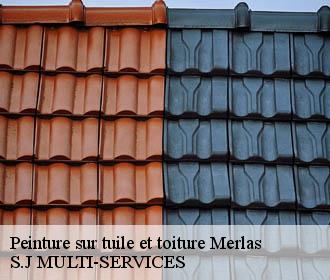 Peinture sur tuile et toiture  merlas-38620 S.J MULTI-SERVICES