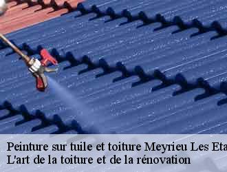 Peinture sur tuile et toiture  meyrieu-les-etangs-38440 L'art de la toiture et de la rénovation