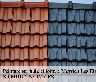 Peinture sur tuile et toiture meyrieu-les-etangs-38440 S.J MULTI-SERVICES