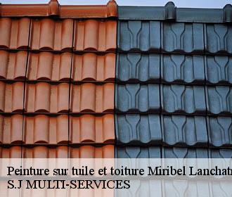 Peinture sur tuile et toiture miribel-lanchatre-38450 S.J MULTI-SERVICES