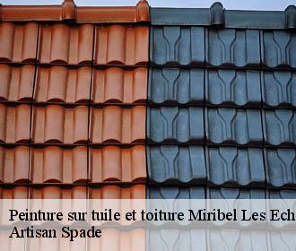 Peinture sur tuile et toiture  miribel-les-echelles-38380 Artisan Spade