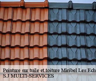Peinture sur tuile et toiture miribel-les-echelles-38380 S.J MULTI-SERVICES