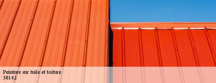 Peinture sur tuile et toiture 38142