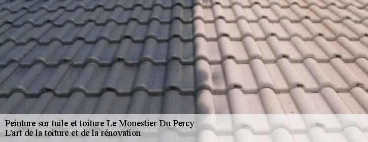 Peinture sur tuile et toiture  38930