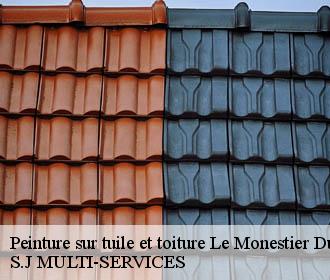 Peinture sur tuile et toiture  le-monestier-du-percy-38930 S.J MULTI-SERVICES