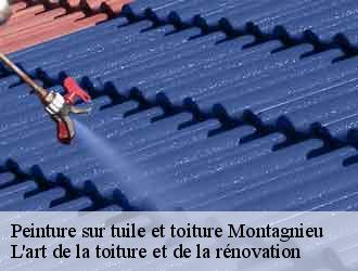 Peinture sur tuile et toiture montagnieu-38110 L'art de la toiture et de la rénovation