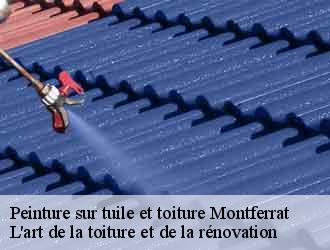 Peinture sur tuile et toiture  montferrat-38620 L'art de la toiture et de la rénovation