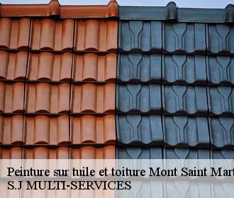 Peinture sur tuile et toiture mont-saint-martin-38120 S.J MULTI-SERVICES