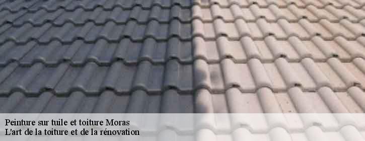 Peinture sur tuile et toiture 38460