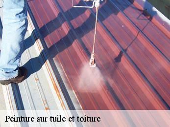 Peinture sur tuile et toiture