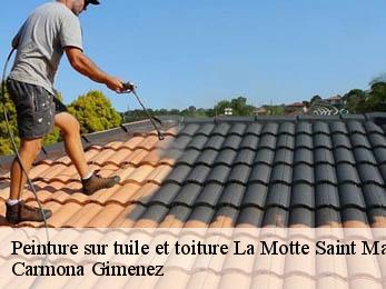 Peinture sur tuile et toiture 38770