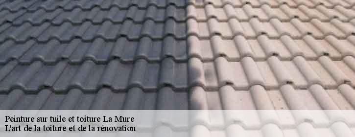 Peinture sur tuile et toiture  38350