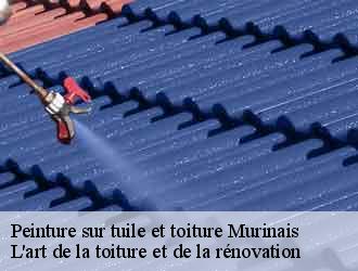 Peinture sur tuile et toiture  murinais-38160 L'art de la toiture et de la rénovation