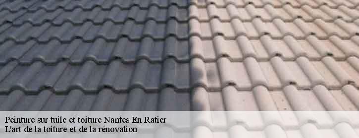 Peinture sur tuile et toiture  38350