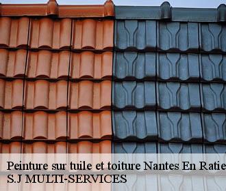 Peinture sur tuile et toiture nantes-en-ratier-38350 S.J MULTI-SERVICES