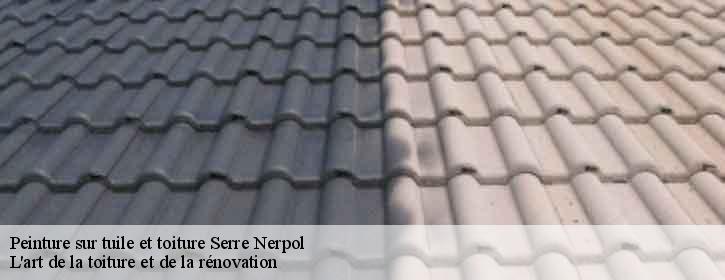 Peinture sur tuile et toiture 38470