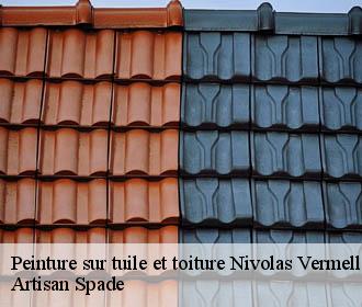 Peinture sur tuile et toiture  nivolas-vermelle-38300 Artisan Spade